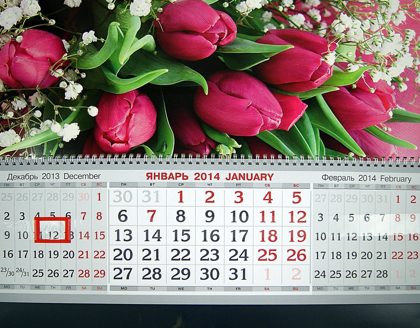 Иллюстрация 1 из 6 для Квартальный календарь на 2014 год "Тюльпаны" (31998) | Лабиринт - сувениры. Источник: Лабиринт