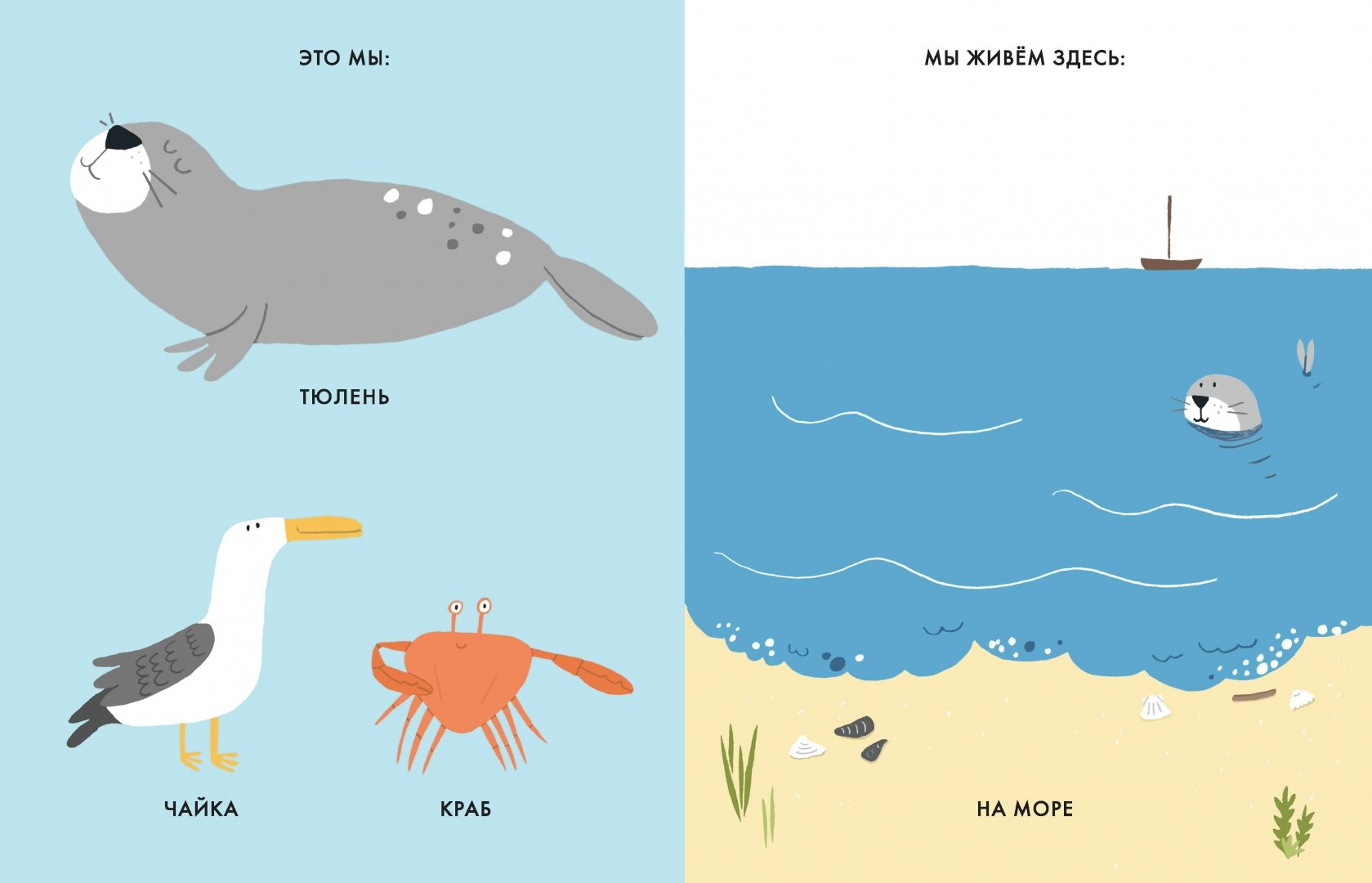 Иллюстрация 1 из 45 для Моё маленькое море - Катрин Виле | Лабиринт - книги. Источник: Лабиринт