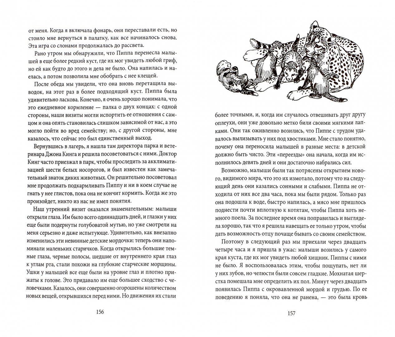Иллюстрация 1 из 28 для Пиппа, или Пятнистый сфинкс - Джой Адамсон | Лабиринт - книги. Источник: Лабиринт