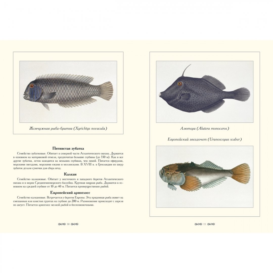 Иллюстрация 3 из 10 для Экзотические рыбы - Луи Агассиз | Лабиринт - книги. Источник: Лабиринт