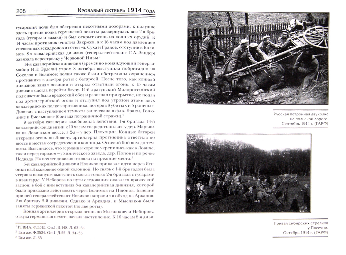 Иллюстрация 1 из 37 для Кровавый октябрь 1914 года - Сергей Нелипович | Лабиринт - книги. Источник: Лабиринт