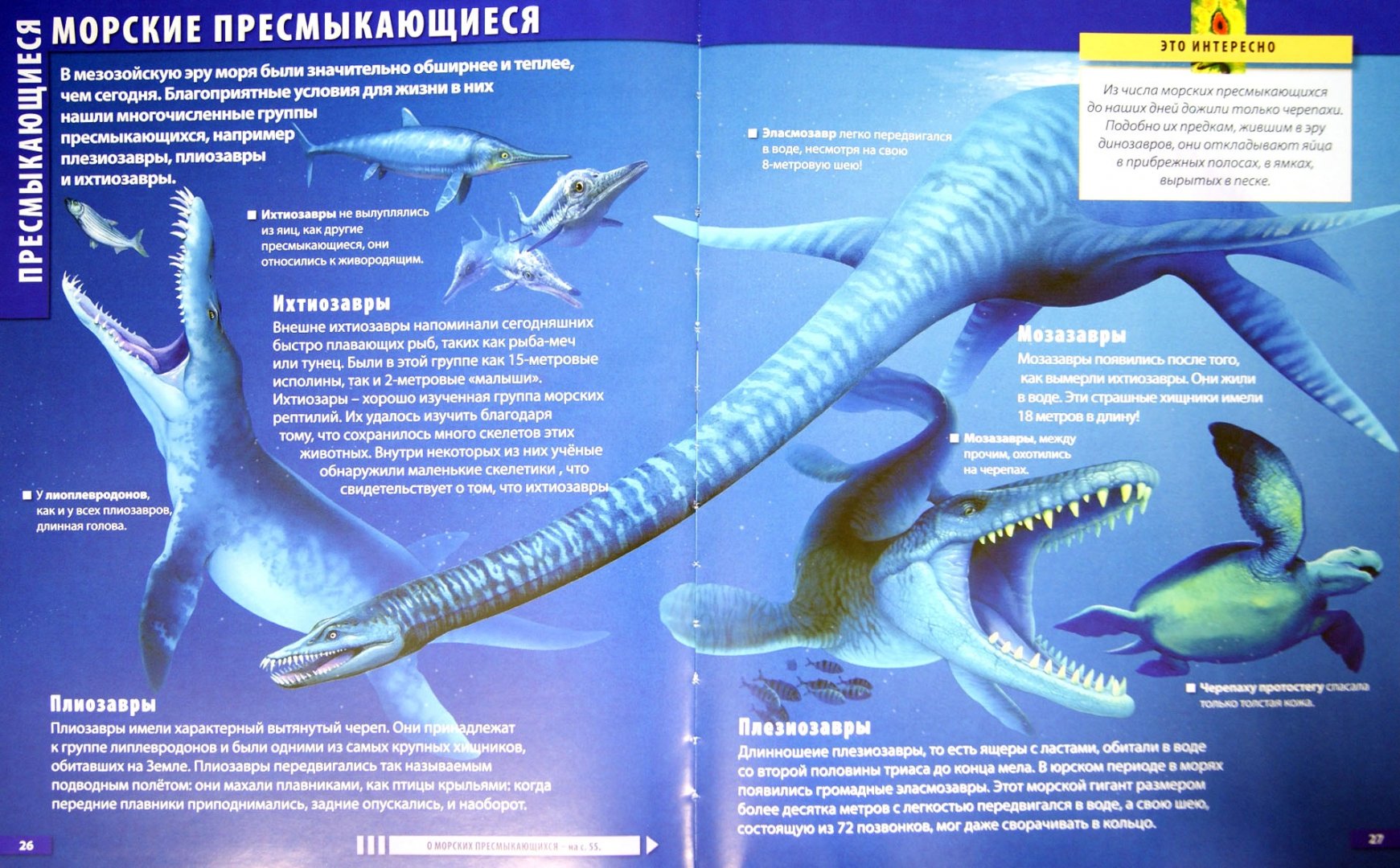 Иллюстрация 1 из 3 для Атлас динозавров - Барбара Маевская | Лабиринт - книги. Источник: Лабиринт