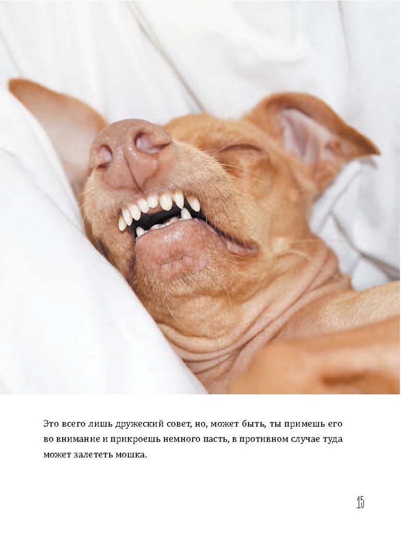 Иллюстрация 13 из 18 для Туна. История собаки-улыбаки - Кортни Дашер | Лабиринт - книги. Источник: Лабиринт
