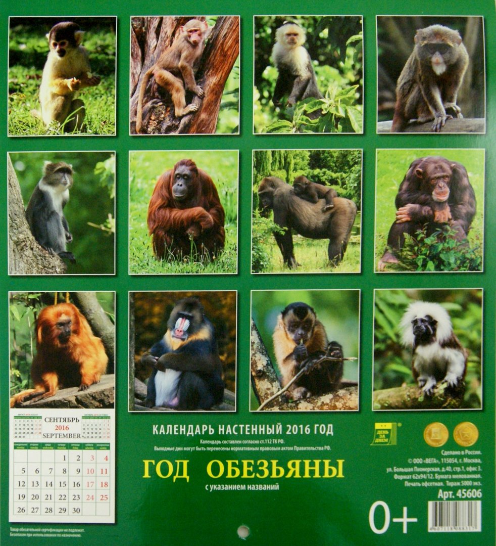 Иллюстрация 2 из 2 для Календарь на 2016. Год обезьяны (45606) | Лабиринт - сувениры. Источник: Лабиринт