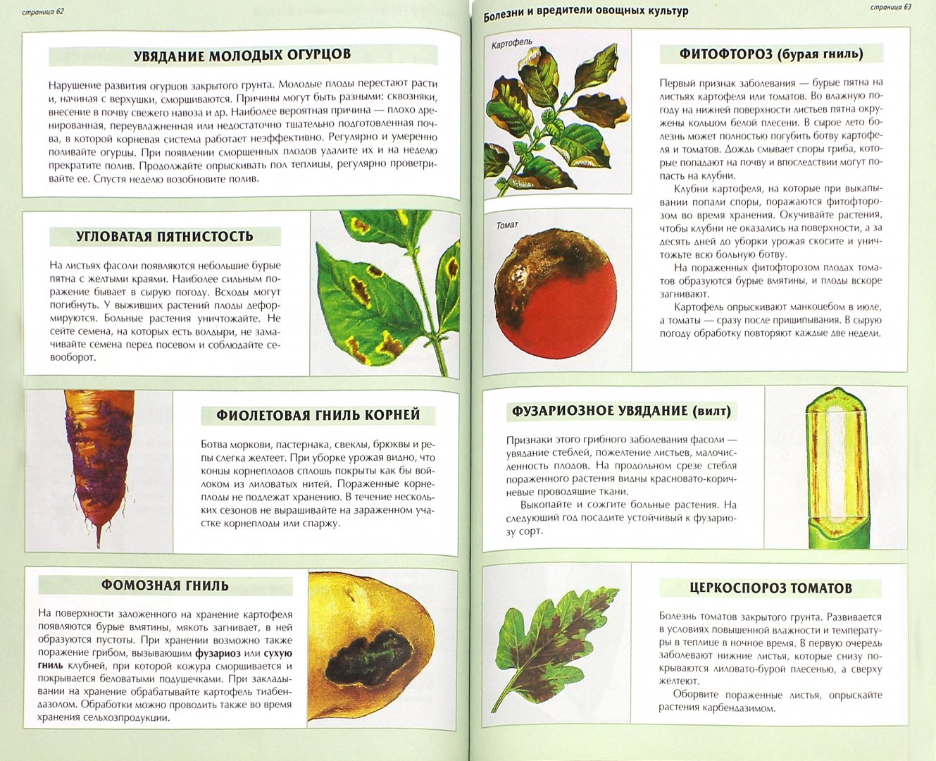 Иллюстрация 1 из 30 для Все о болезнях и вредителях растений - Дэвид Хессайон | Лабиринт - книги. Источник: Лабиринт