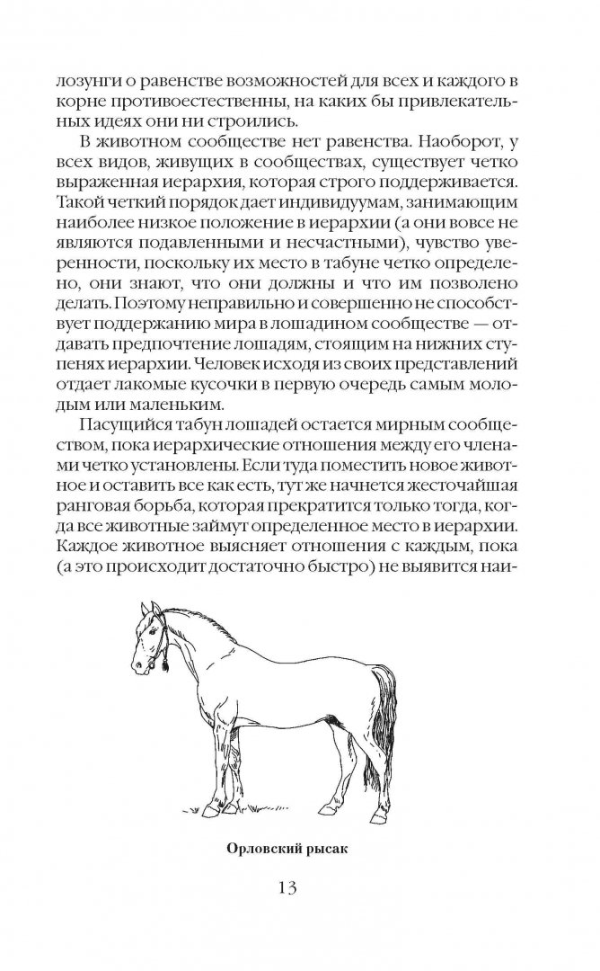 Иллюстрация 8 из 8 для Все о лошадях. Полное руководство по правильному уходу - Игорь Скрипник | Лабиринт - книги. Источник: Лабиринт