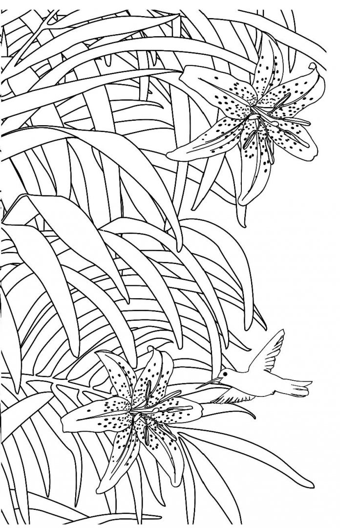 Иллюстрация 7 из 39 для Зачарованный сад. Мини-раскраска-антистресс | Лабиринт - книги. Источник: Лабиринт