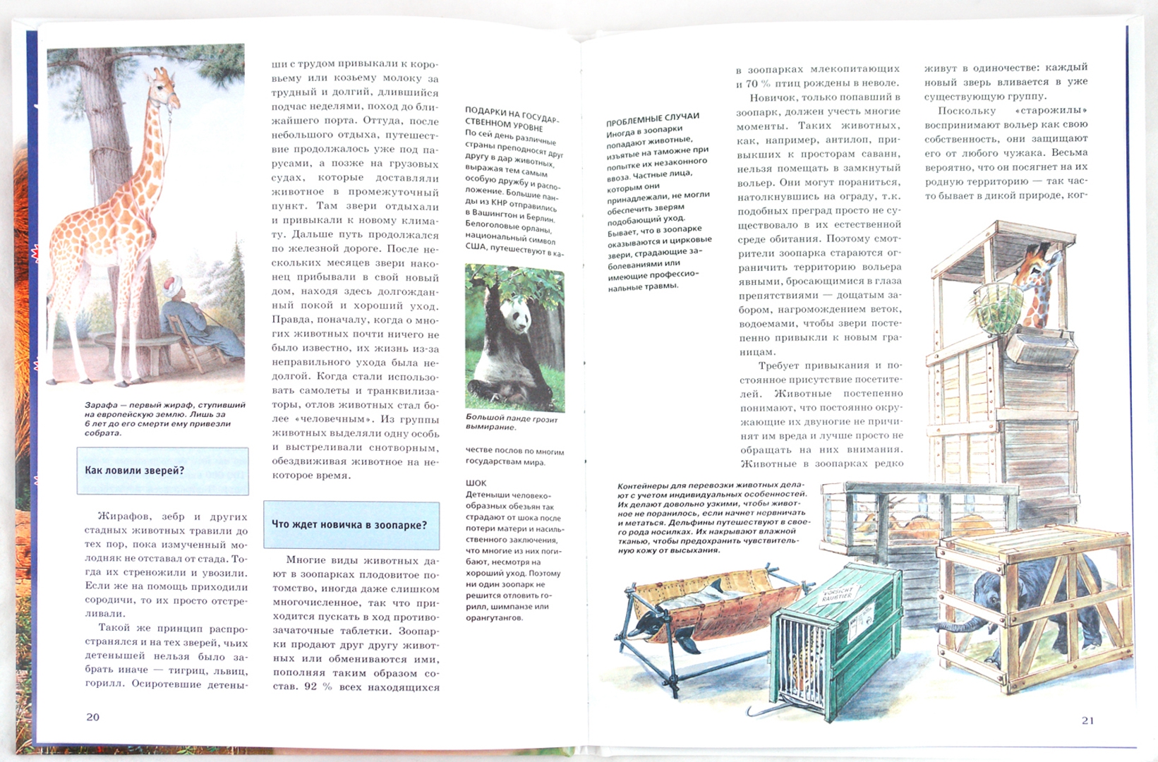 Иллюстрация 1 из 27 для Звери в зоопарке - Андреа Мертини | Лабиринт - книги. Источник: Лабиринт