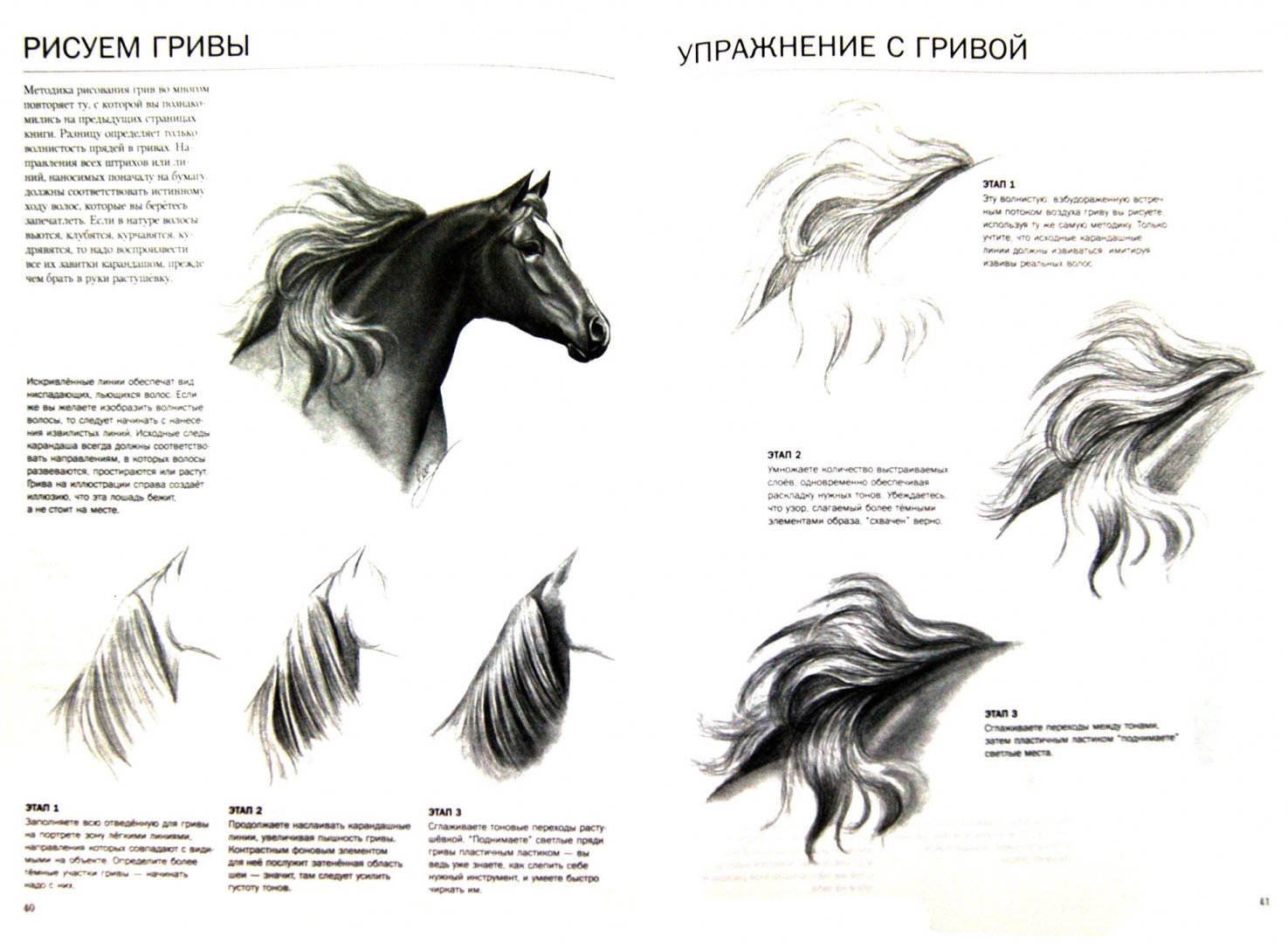 Иллюстрация 1 из 8 для Учимся рисовать лошадей - Ли Хэммонд | Лабиринт - книги. Источник: Лабиринт