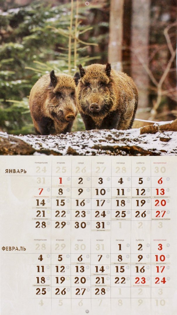 Иллюстрация 1 из 2 для Календарь перекидной на 2019 год "Год кабана" (К-005) | Лабиринт - сувениры. Источник: Лабиринт