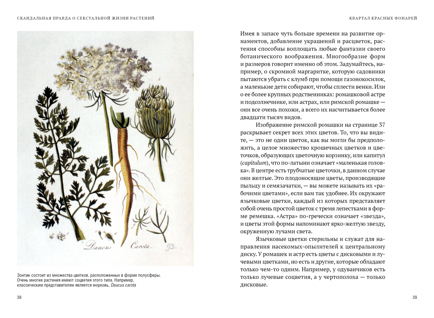 Иллюстрация 4 из 47 для Скандальная правда о сексуальной жизни растений - Майкл Аллаби | Лабиринт - книги. Источник: Лабиринт