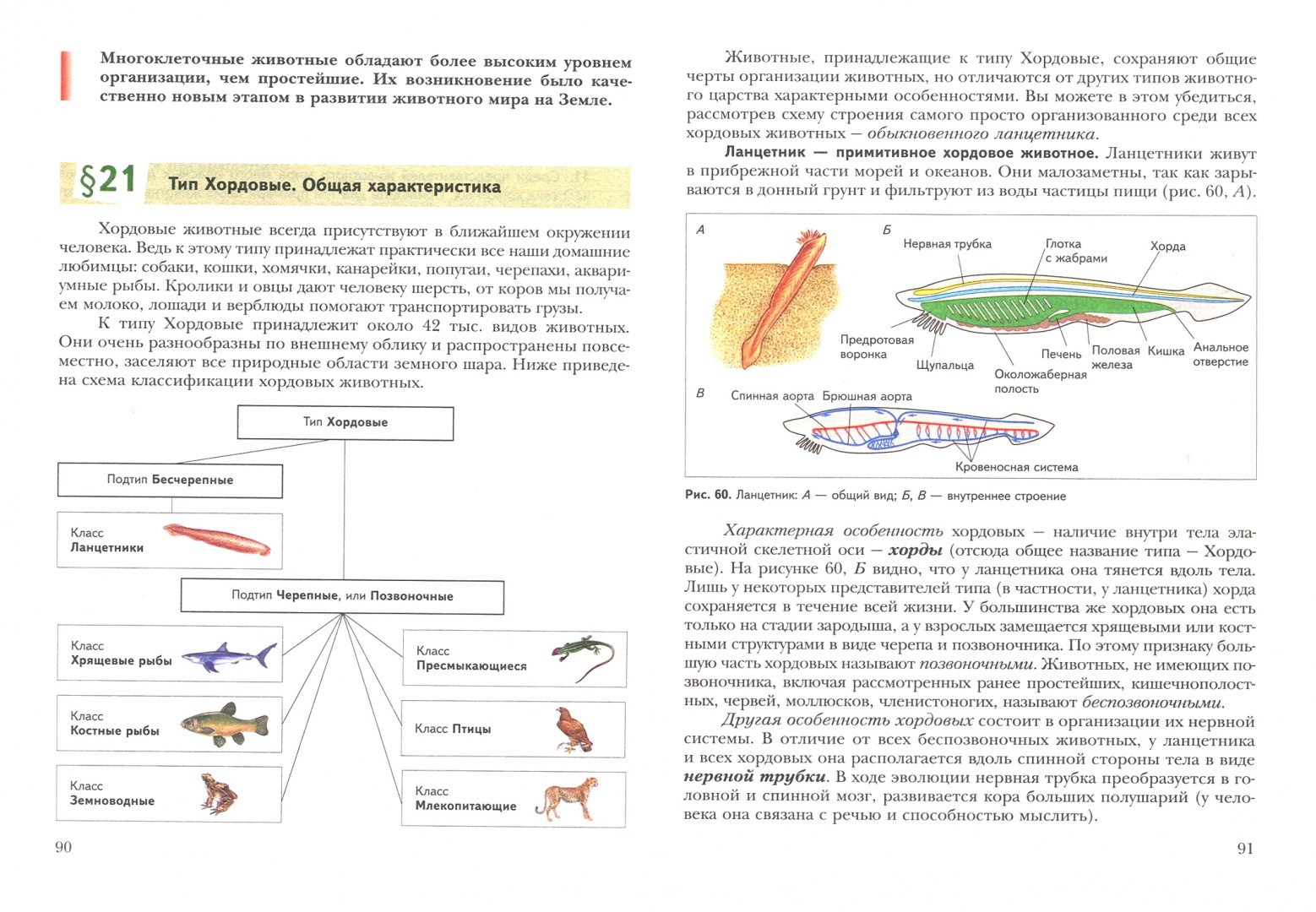 Иллюстрация 2 из 2 для Биология. 7 класс. Учебник. ФГОС - Шаталова, Сухова | Лабиринт - книги. Источник: Лабиринт