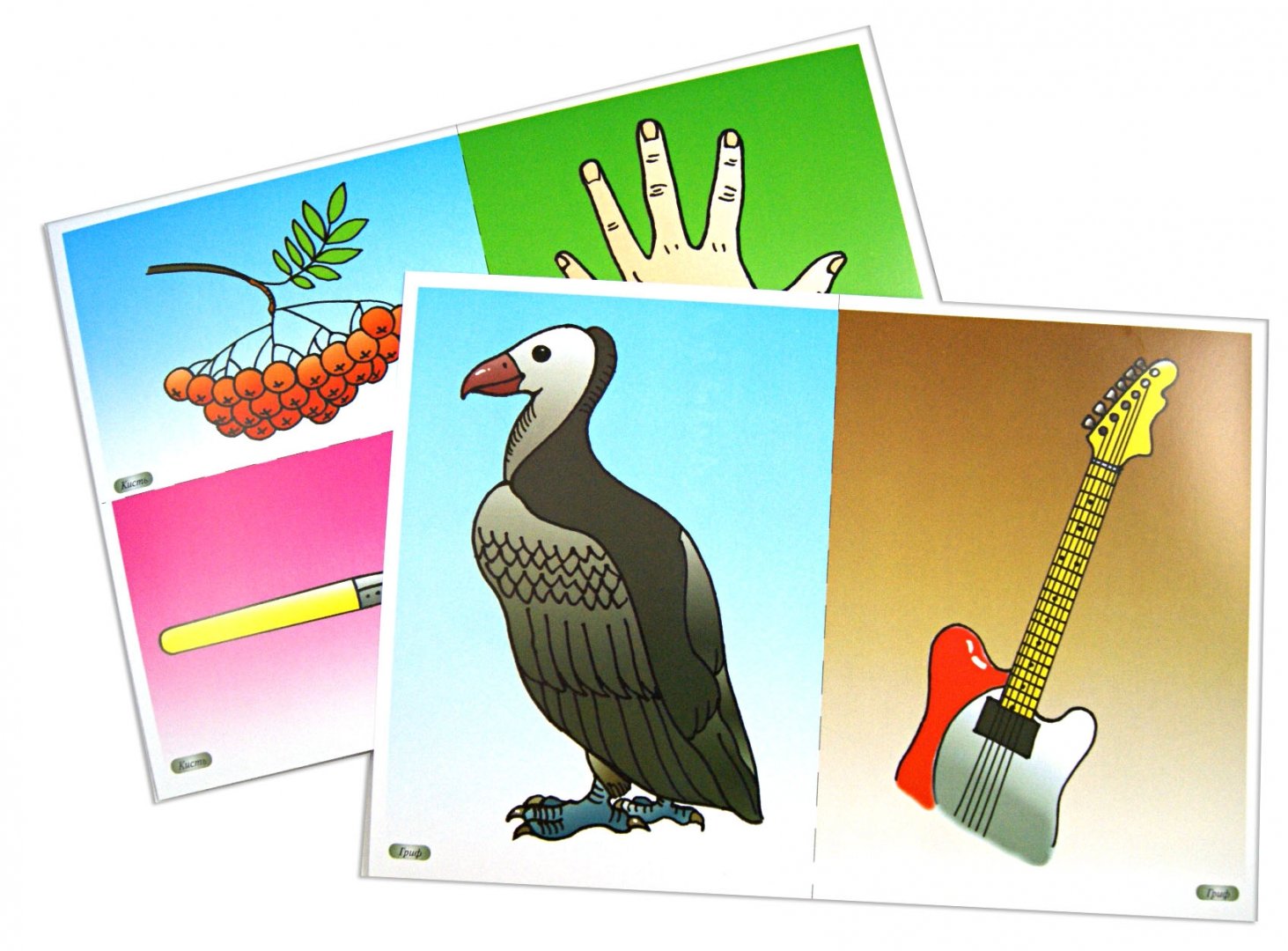 Иллюстрация 1 из 9 для Грамматика в картинках для занятий с детьми 3-7 лет. Многозначные слова | Лабиринт - книги. Источник: Лабиринт