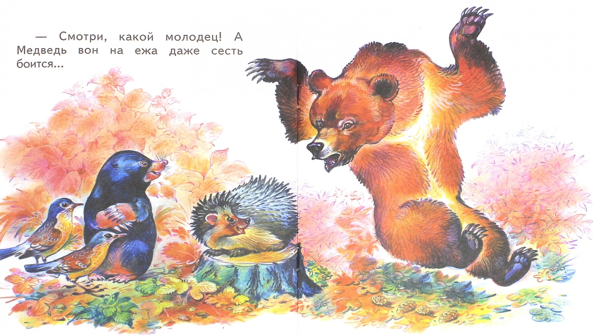 Иллюстрация 1 из 12 для Лесные сказки - Николай Сладков | Лабиринт - книги. Источник: Лабиринт