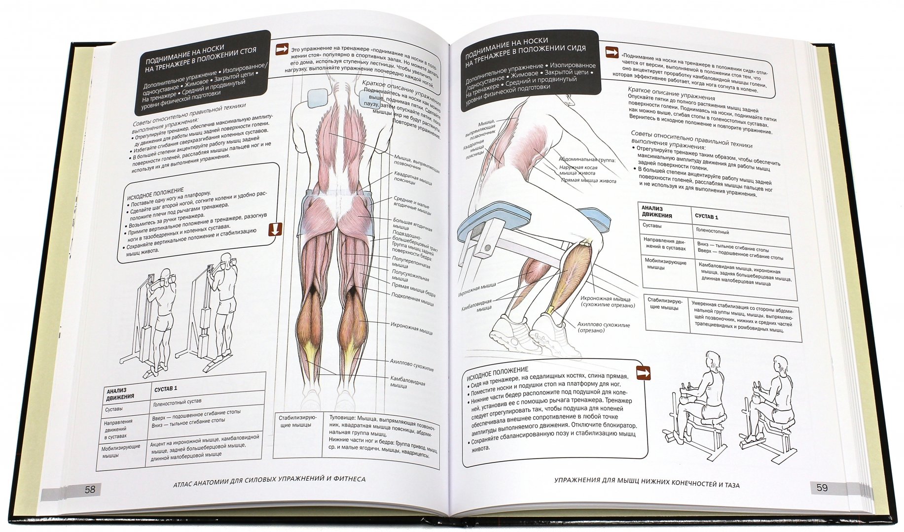 Иллюстрация 1 из 20 для Атлас анатомии для силовых упражнений и фитнеса - Марк Велла | Лабиринт - книги. Источник: Лабиринт