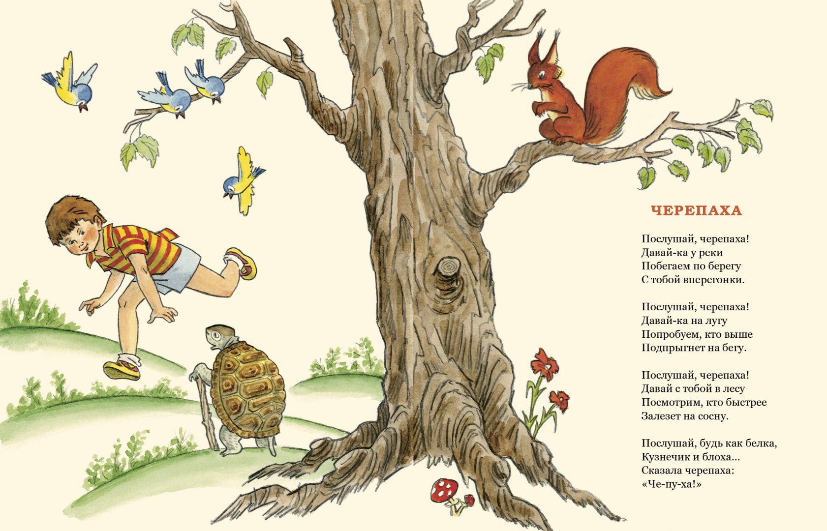 Иллюстрация 1 из 36 для Послушай, черепаха! - Михаил Кудинов | Лабиринт - книги. Источник: Лабиринт