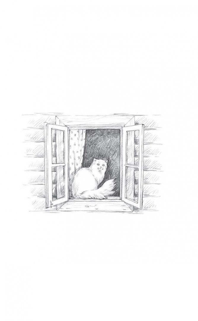 Иллюстрация 1 из 19 для Кошка Люсиль и малыш Джентльмен - Вера Шарташская | Лабиринт - книги. Источник: Лабиринт