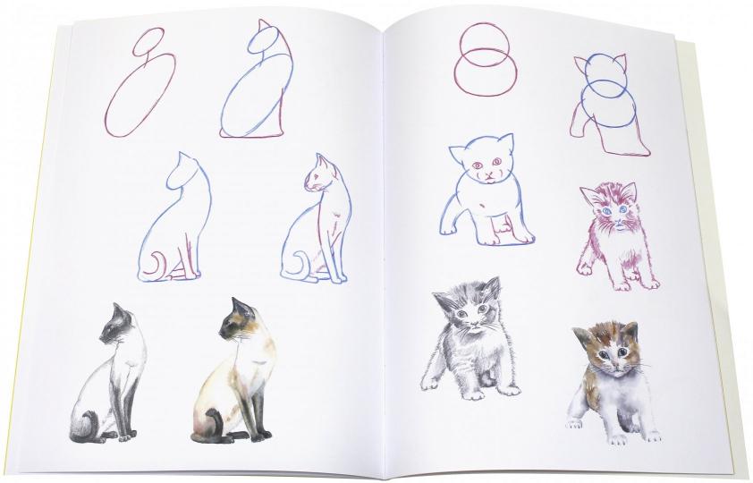 Книга: Как нарисовать кошек? Просто! - Полли Пиндер. Купить книгу, читать  рецензии | ISBN 978-5-9287-2842-7 | Лабиринт