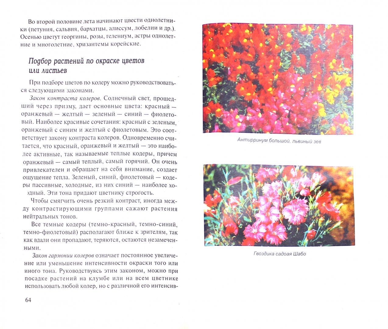 Иллюстрация 1 из 7 для Ваши любимые однолетние цветы. Выращивание, дизайн, продажа - Н. Жуковская | Лабиринт - книги. Источник: Лабиринт