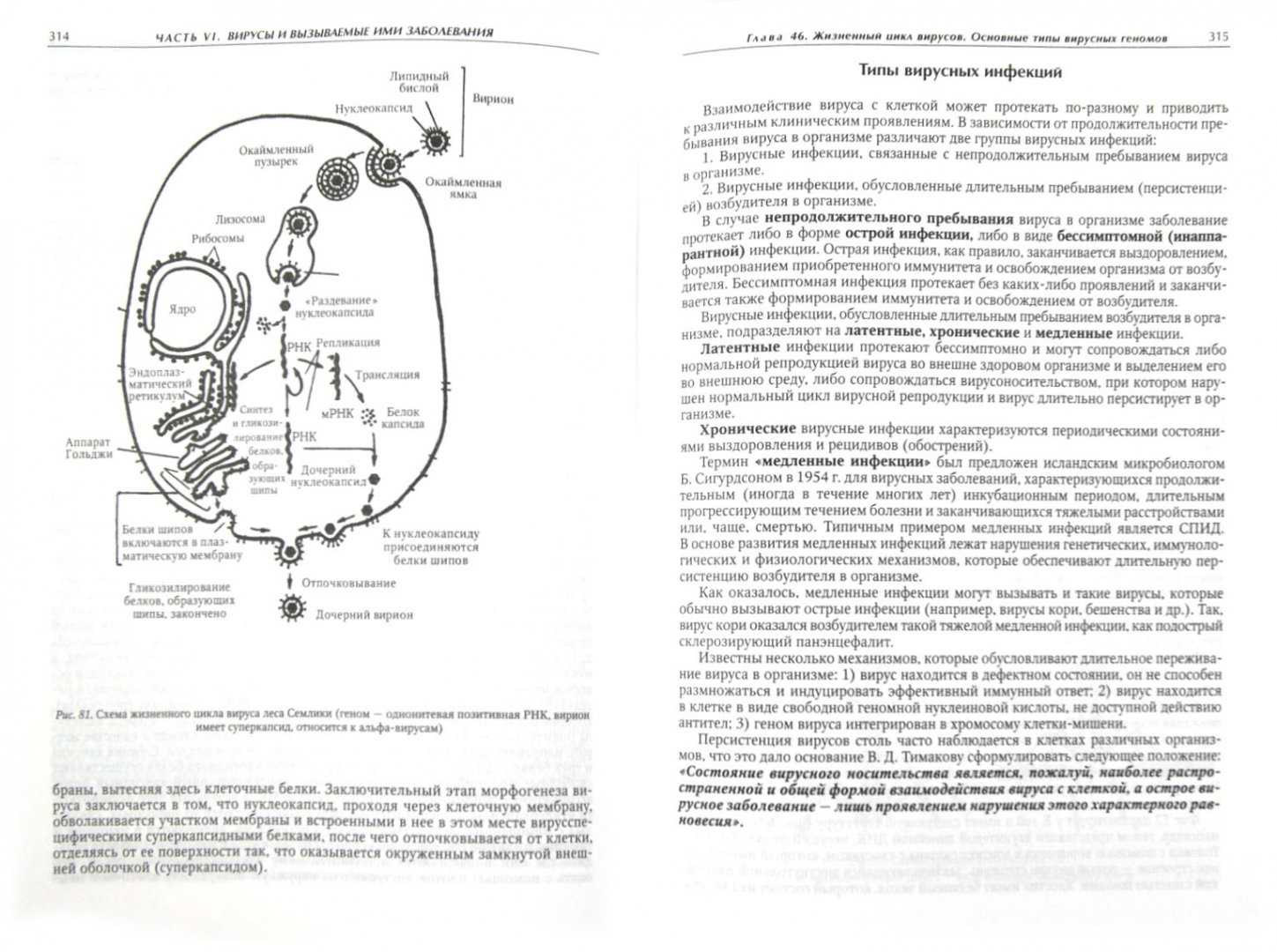 Иллюстрация 1 из 29 для Медицинская микробиология, иммунология и вирусология - Коротяев, Бабичев | Лабиринт - книги. Источник: Лабиринт