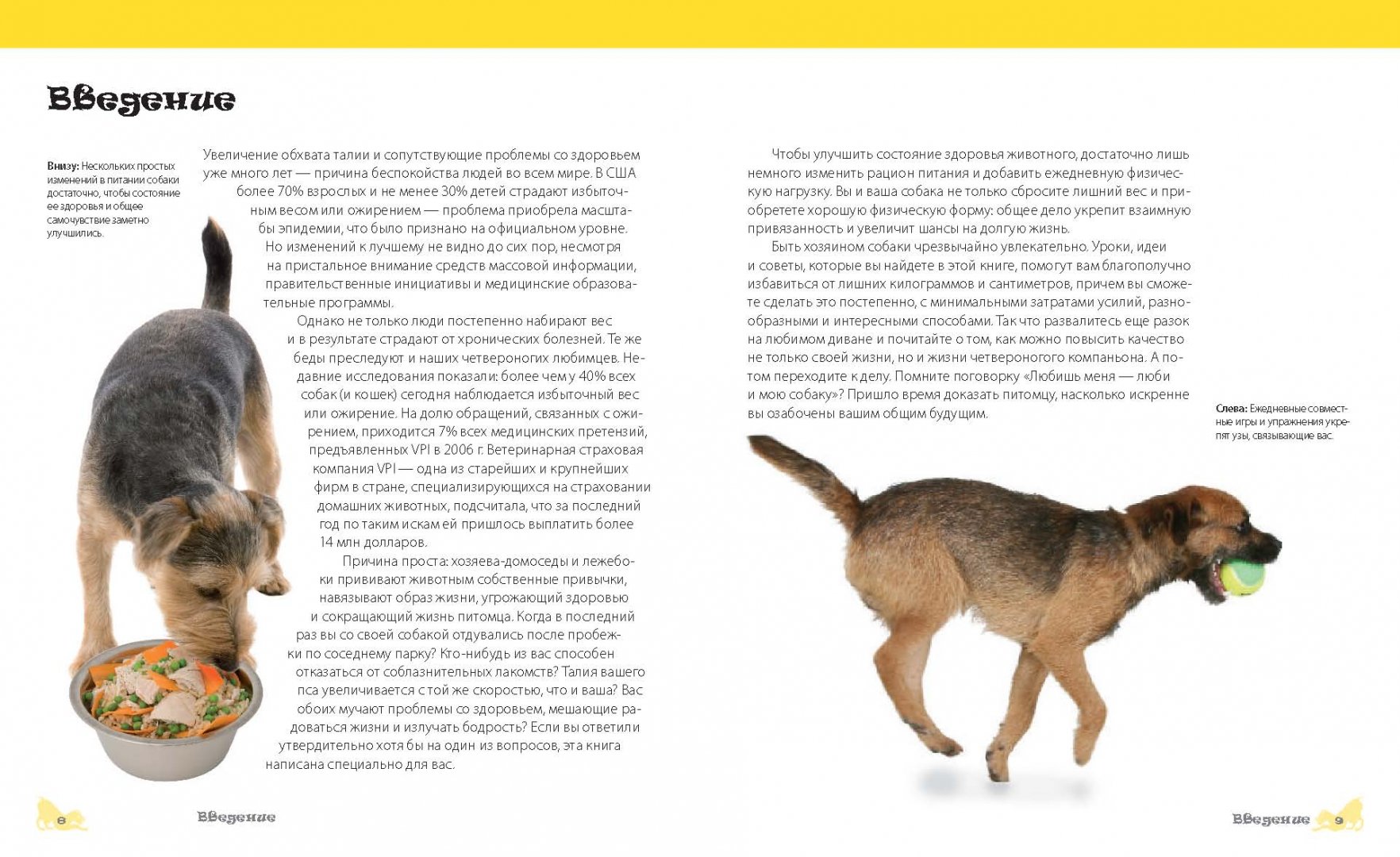 Иллюстрация 2 из 10 для Фитнес с собакой. Практическое руководство для собак и их хозяев - Карен Салливан | Лабиринт - книги. Источник: Лабиринт