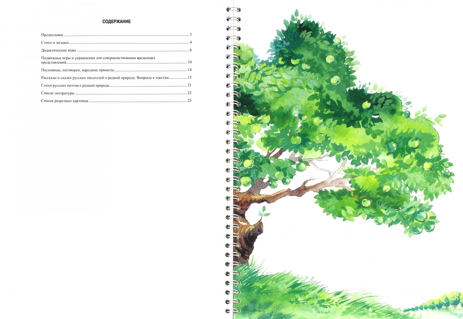 Иллюстрация 1 из 2 для Волшебное дерево. Календарь природы. Дидактическая игра. 3-7 лет. ФГОС - Наталия Нищева | Лабиринт - книги. Источник: Лабиринт