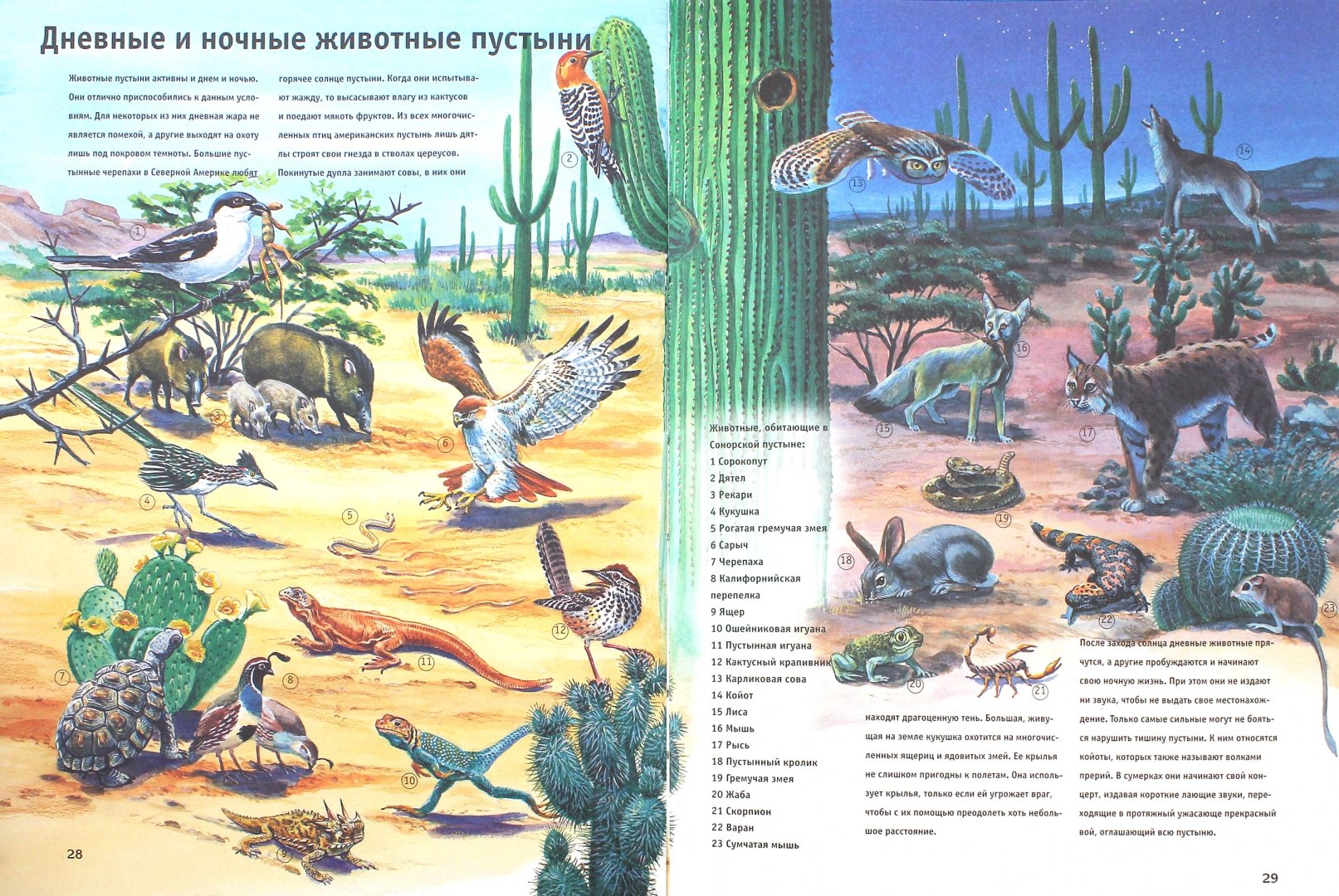 Иллюстрация 1 из 11 для Пустыни - Гаральд Ланге | Лабиринт - книги. Источник: Лабиринт
