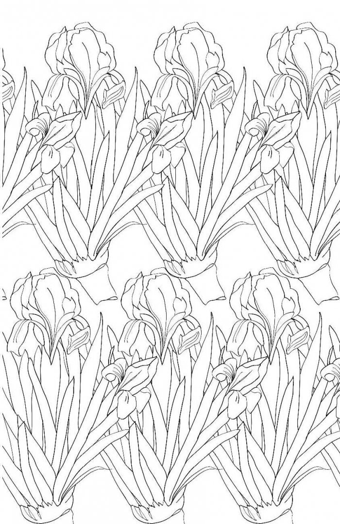 Иллюстрация 10 из 39 для Зачарованный сад. Мини-раскраска-антистресс | Лабиринт - книги. Источник: Лабиринт