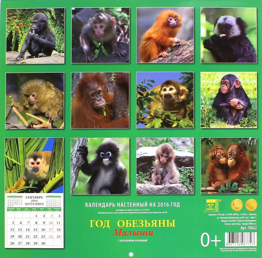 Иллюстрация 1 из 2 для Календарь настенный на 2016 год "Год обезьяны. Малыши" | Лабиринт - сувениры. Источник: Лабиринт