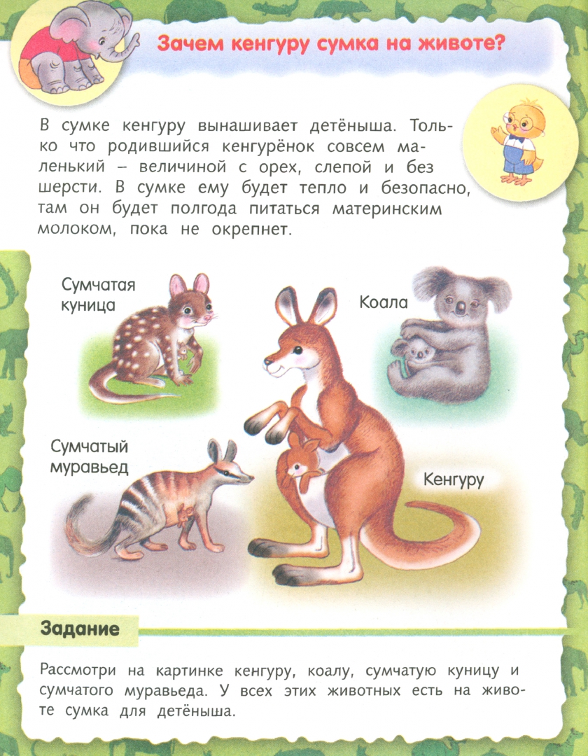 Иллюстрация 1 из 50 для О животных - Марина Султанова | Лабиринт - книги. Источник: Лабиринт