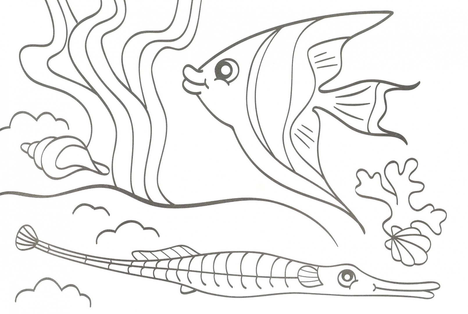 Иллюстрация 1 из 3 для Водная раскраска "Море" | Лабиринт - книги. Источник: Лабиринт