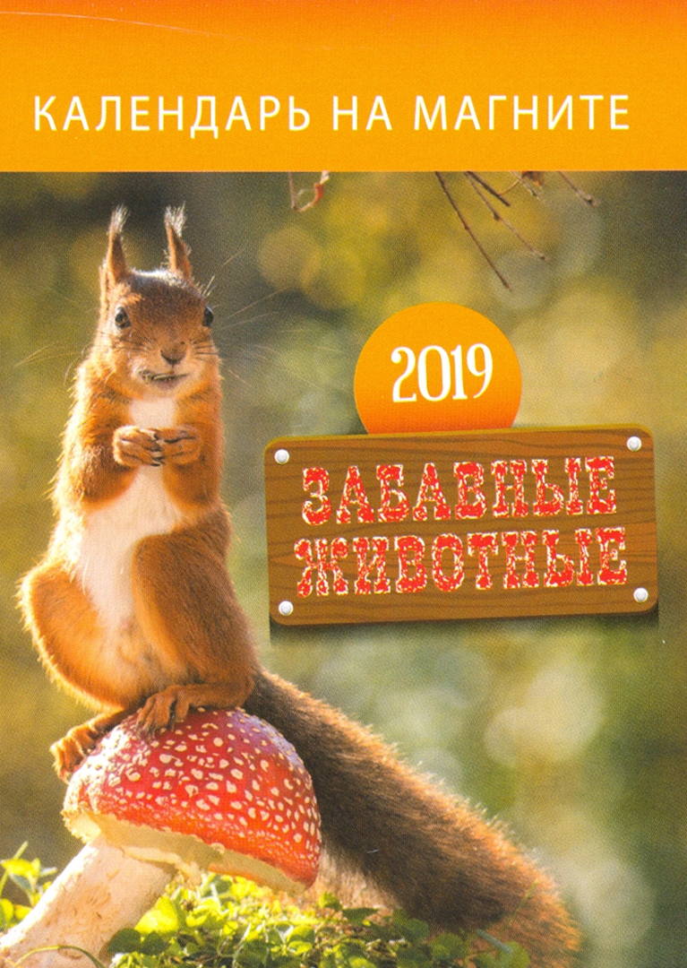 Иллюстрация 1 из 2 для Календарь на 2019 год отрывной на магните. Забавные животные | Лабиринт - сувениры. Источник: Лабиринт