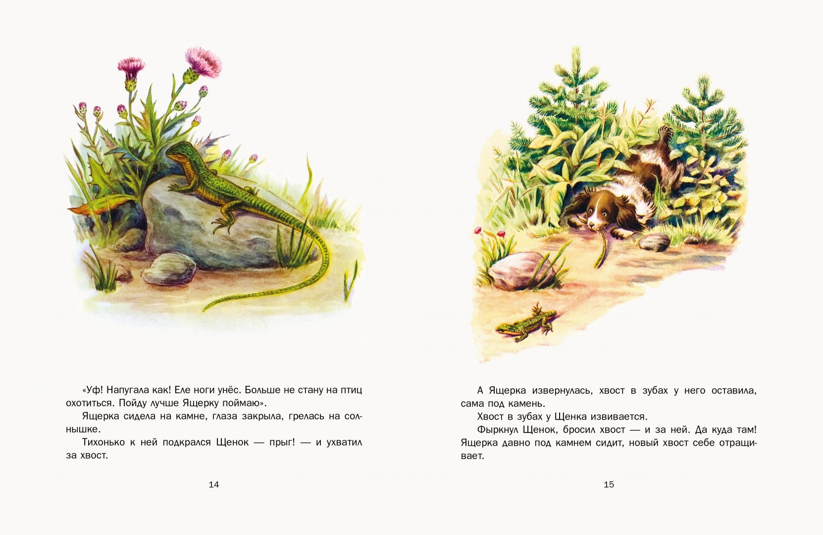 Иллюстрация 3 из 58 для Первая охота - Виталий Бианки | Лабиринт - книги. Источник: Лабиринт
