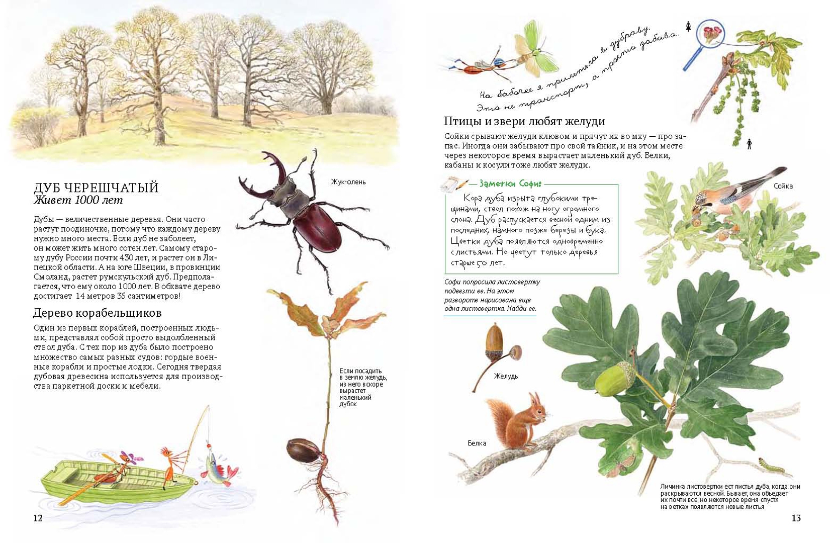 Иллюстрация 26 из 46 для Софи в мире деревьев - Стефан Каста | Лабиринт - книги. Источник: Лабиринт