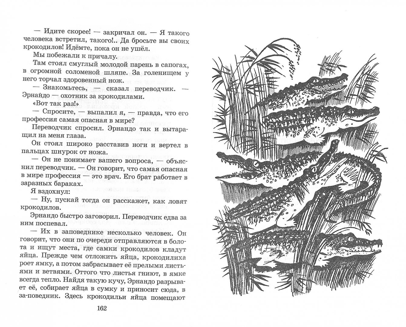 Иллюстрация 1 из 27 для В гостях у крокодилов - Святослав Сахарнов | Лабиринт - книги. Источник: Лабиринт