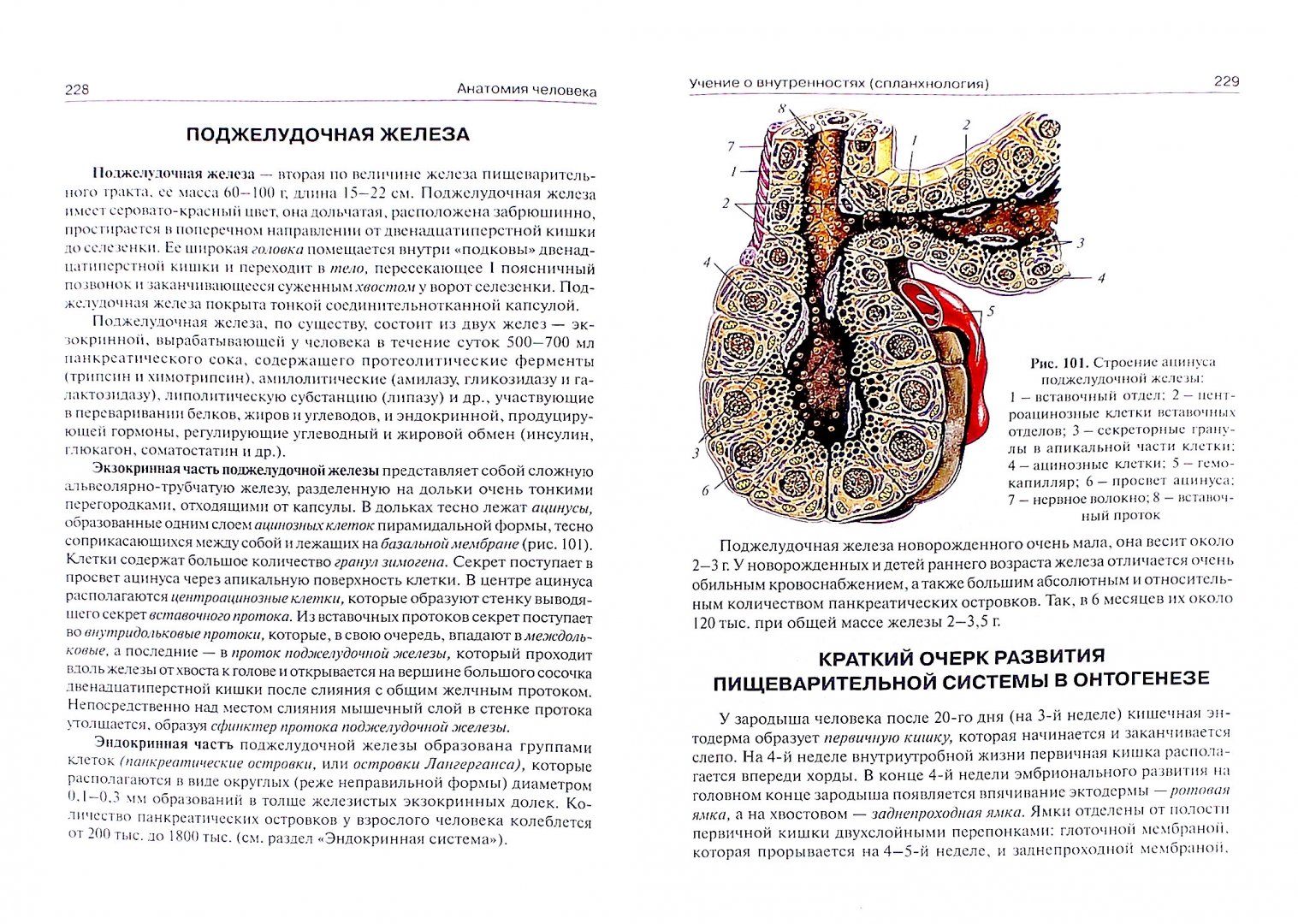 Иллюстрация 1 из 10 для Анатомия человека. Учебник для медицинских училищ и колледжей - Сапин, Билич | Лабиринт - книги. Источник: Лабиринт