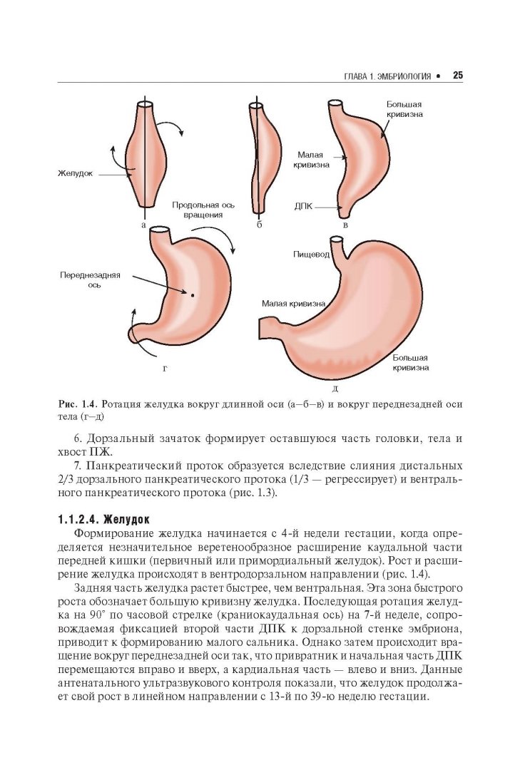 Иллюстрация 4 из 5 для Непроходимость желудочно-кишечного тракта у детей - Подкаменев, Козлов, Новожилов | Лабиринт - книги. Источник: Лабиринт