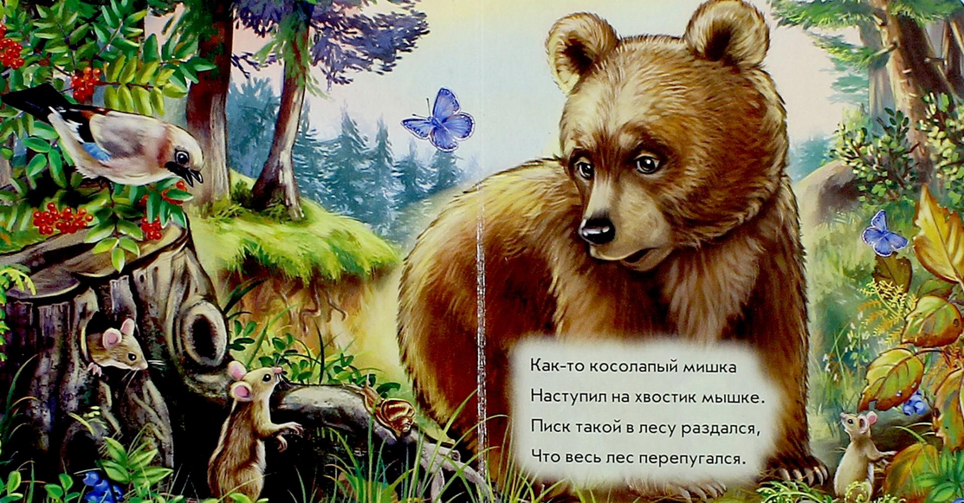Иллюстрация 1 из 21 для Медвежонок - С. Зайцева | Лабиринт - книги. Источник: Лабиринт