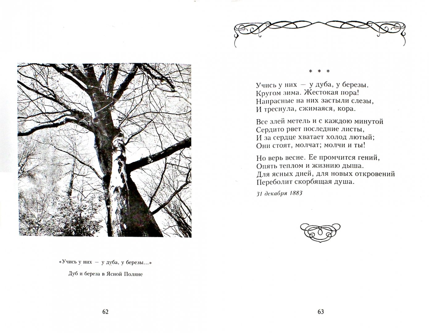 Иллюстрация 1 из 26 для Стихотворения - Афанасий Фет | Лабиринт - книги. Источник: Лабиринт