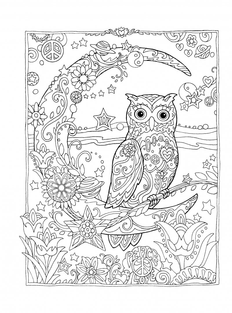 Иллюстрация 5 из 45 для Совушки - Marjorie Sarnat | Лабиринт - книги. Источник: Лабиринт