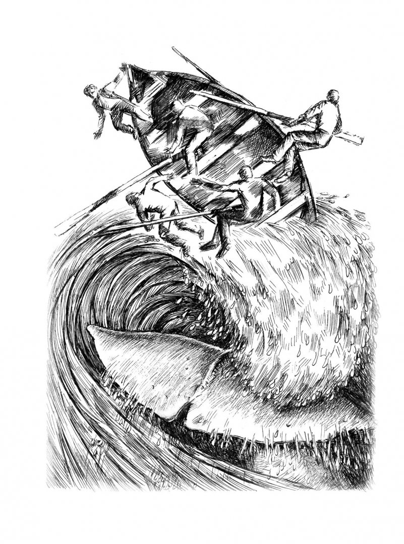 Иллюстрация 1 из 27 для Путешествия капитана Александра. Киты и люди - Саша Кругосветов | Лабиринт - книги. Источник: Лабиринт