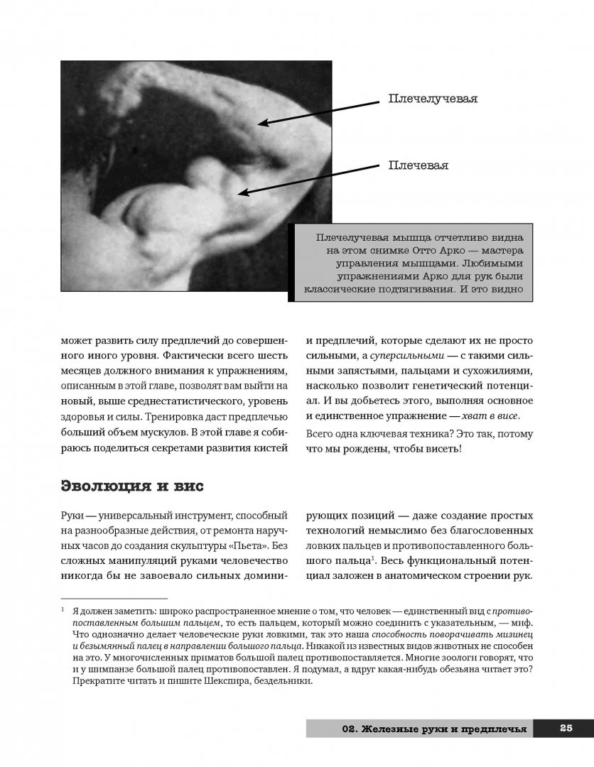 Иллюстрация 4 из 27 для Тренировочная зона 2. Продвинутые техники физических тренировок - Пол Уэйд | Лабиринт - книги. Источник: Лабиринт
