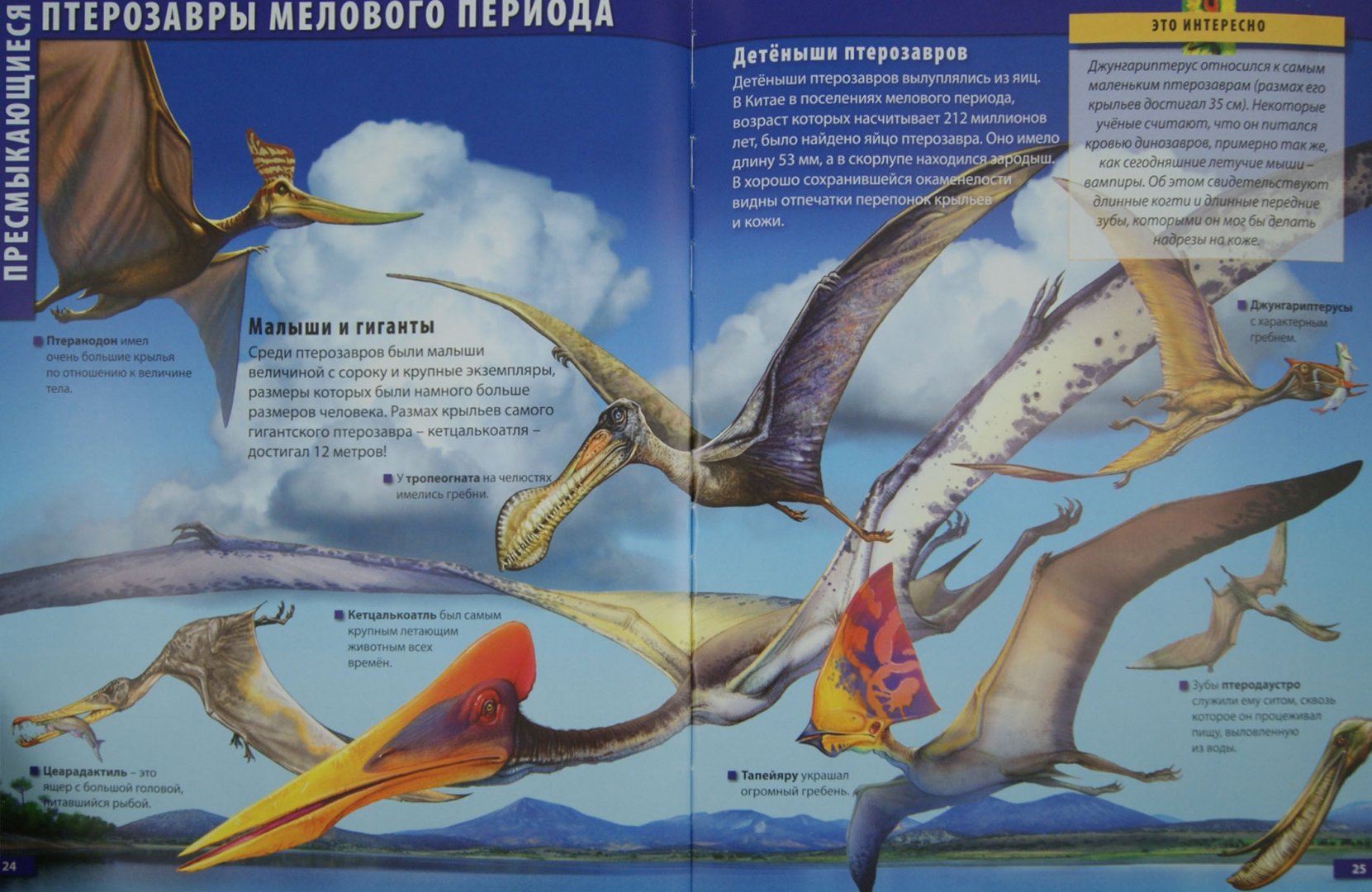 Иллюстрация 1 из 22 для Мир динозавров - Барбара Маевская | Лабиринт - книги. Источник: Лабиринт