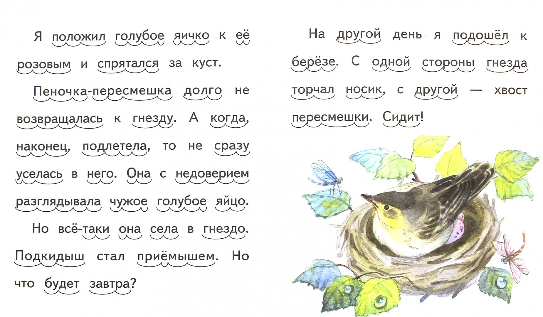 Иллюстрация 1 из 7 для Подкидыш - Виталий Бианки | Лабиринт - книги. Источник: Лабиринт