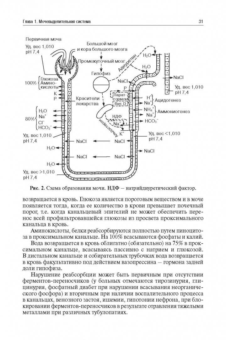 Иллюстрация 22 из 43 для Методы клинических лабораторных исследований - В. Камышников | Лабиринт - книги. Источник: Лабиринт