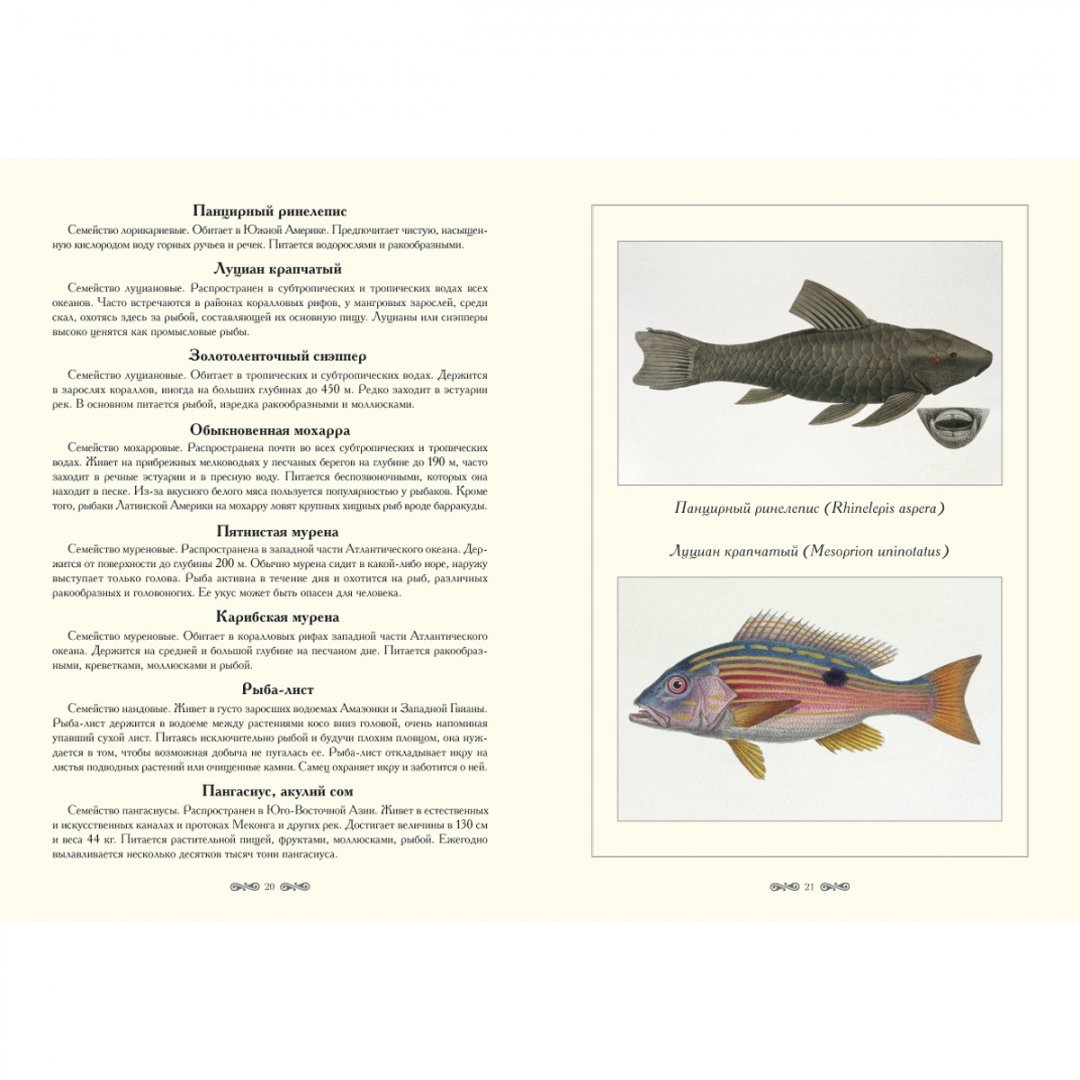Иллюстрация 6 из 10 для Экзотические рыбы - Луи Агассиз | Лабиринт - книги. Источник: Лабиринт