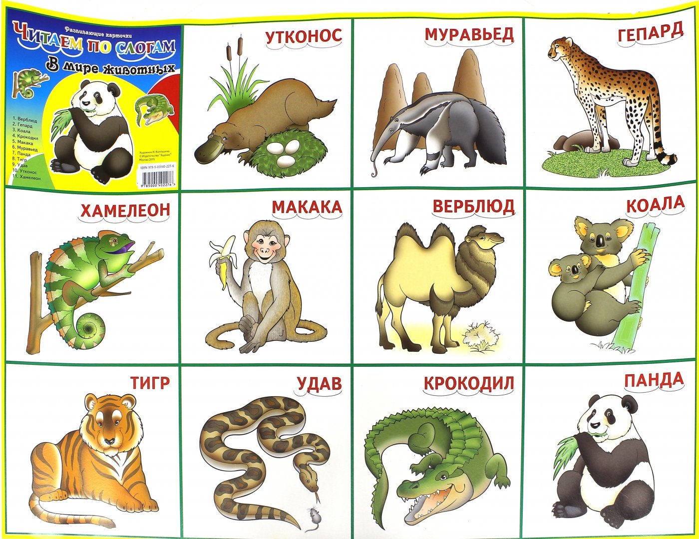 Картинки для игры крокодил. Игровые карточки для детей. Карточки с животными для детей. Крокодил для детей карточки. Плакат. Животные.