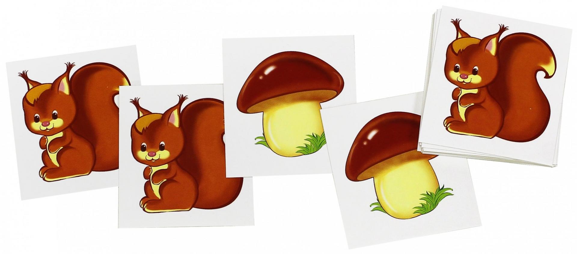 Иллюстрация 1 из 15 для Счетный материал "Белочки, грибы" (20 карточек) | Лабиринт - книги. Источник: Лабиринт