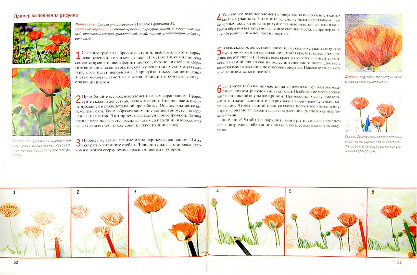 Иллюстрация 1 из 12 для Рисование цветов от бутона до листьев - Анне Пипер | Лабиринт - книги. Источник: Лабиринт