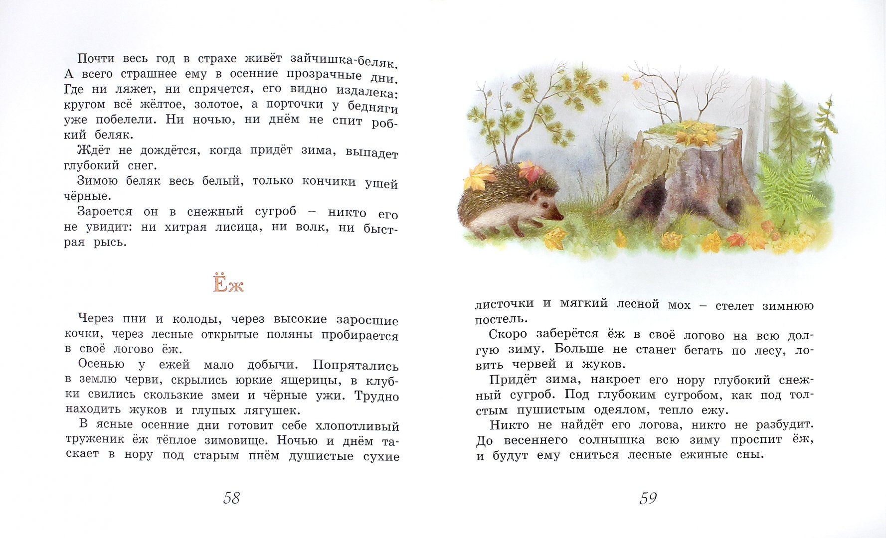 Иллюстрация 1 из 32 для Домик в лесу - Иван Соколов-Микитов | Лабиринт - книги. Источник: Лабиринт
